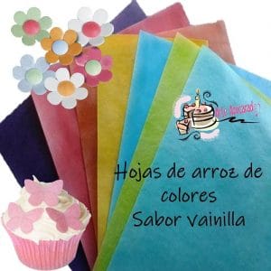 Hojas de arroz de colores 100 pzas